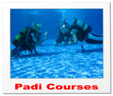 padi open water diver course pool session0