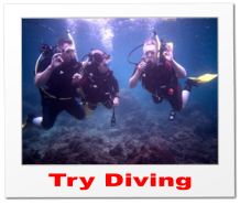Try Diving