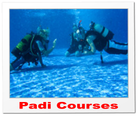 Padi Courses