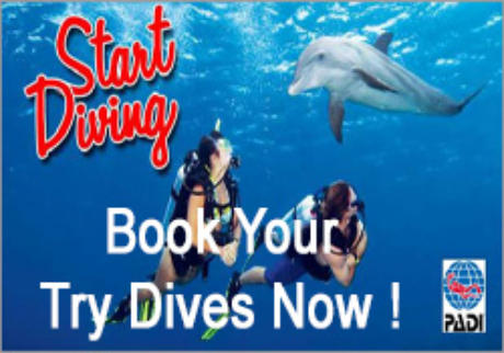 book your try dives now