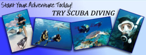 try scuba diving with scubaworld