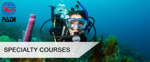 padi specialty courses on the costa blanca