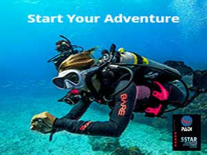 go dive with padi and scubaworld
