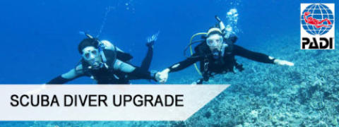 upgrade padi scuba diver to padi open water diver