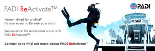 padi reactivate course with scubaworld on the costa blanca