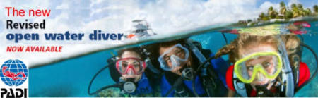 start with the padi open water diver course now