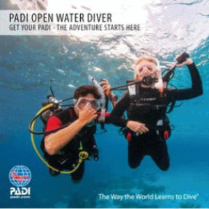 padi open water diver course