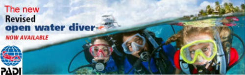 start with the padi open water diver course now