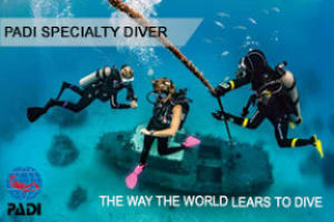 padi specialtys on the costa blanca