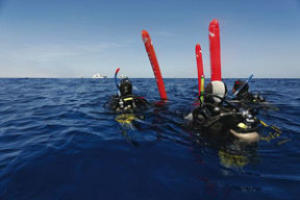 padi smb specialty divers at the surface 