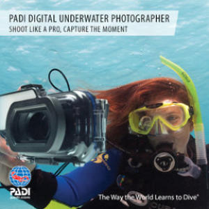 padi digital photographer specialty course