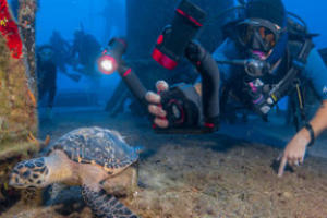 padi dup specialty course with sealife dc2000 camera