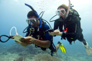 uw navigation during padi msd challenge on the costa blanca	