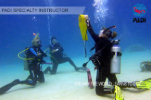become a padi specialty instructor on the costa 