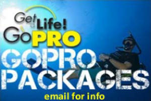 gopro book your msdt package on the costa blanca here