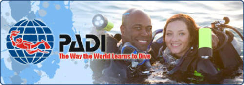 padi the way the world learns to dive