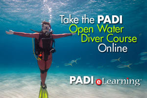 june padi open water diver course online