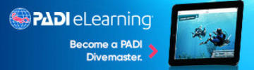 dm course with padi elearning