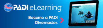 dm course with padi elearning