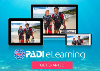 padi open water diver touch 6