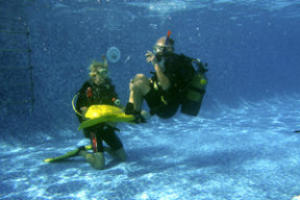 padi open water diver pool session
