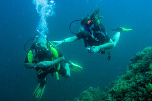 padi assistant instructor guiding dsd