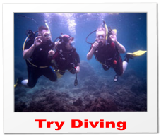 Try Diving