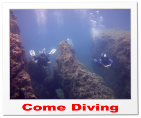 Come Diving