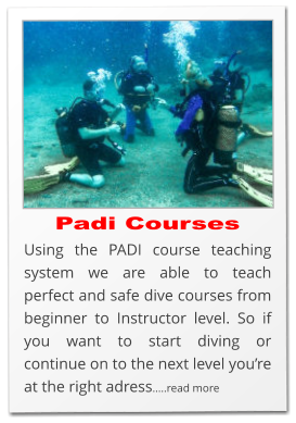 Padi Courses Using the PADI course teaching system we are able to teach perfect and safe dive courses from beginner to Instructor level. So if you want to start diving or continue on to the next level you’re at the right adress…..read more