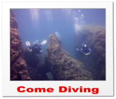 Come Diving