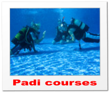 Padi courses