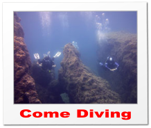 Come Diving
