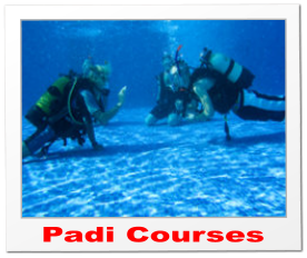 Padi Courses