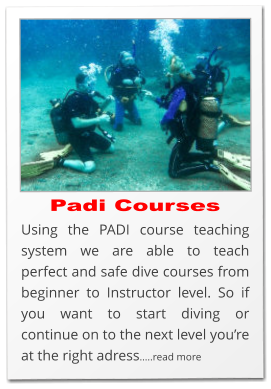 Padi Courses Using the PADI course teaching system we are able to teach perfect and safe dive courses from beginner to Instructor level. So if you want to start diving or continue on to the next level you’re at the right adress…..read more