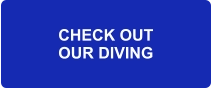 CHECK OUT OUR DIVING