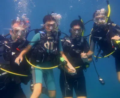 try scuba diving with scubaworld