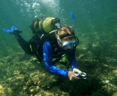 book your padi open water diver course now