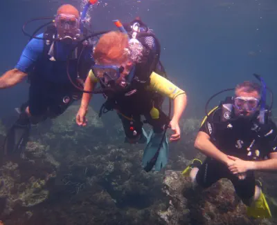become a padi pro and do your divemaster course