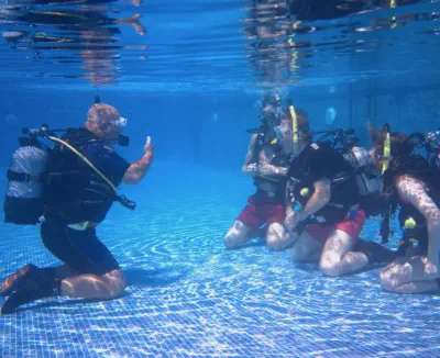 become a padi pro and do your divemaster course