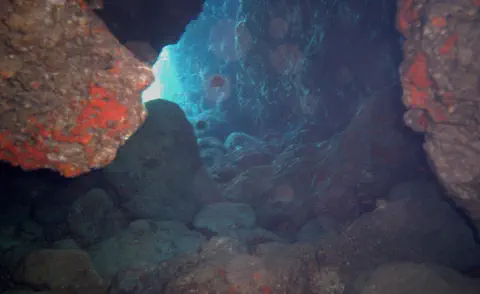 diving with scubaworld