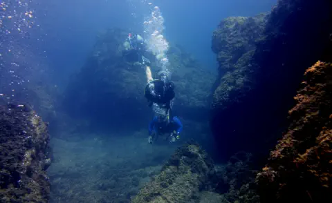 diving with scubaworld