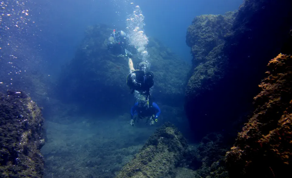 diving with scubaworld