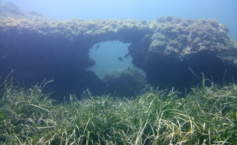 diving with scubaworld