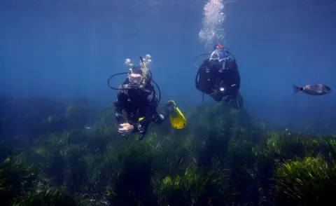 padi open water diver course gallery