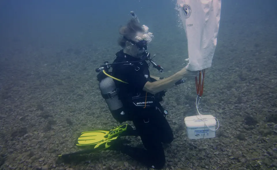 padi advanced course gallery