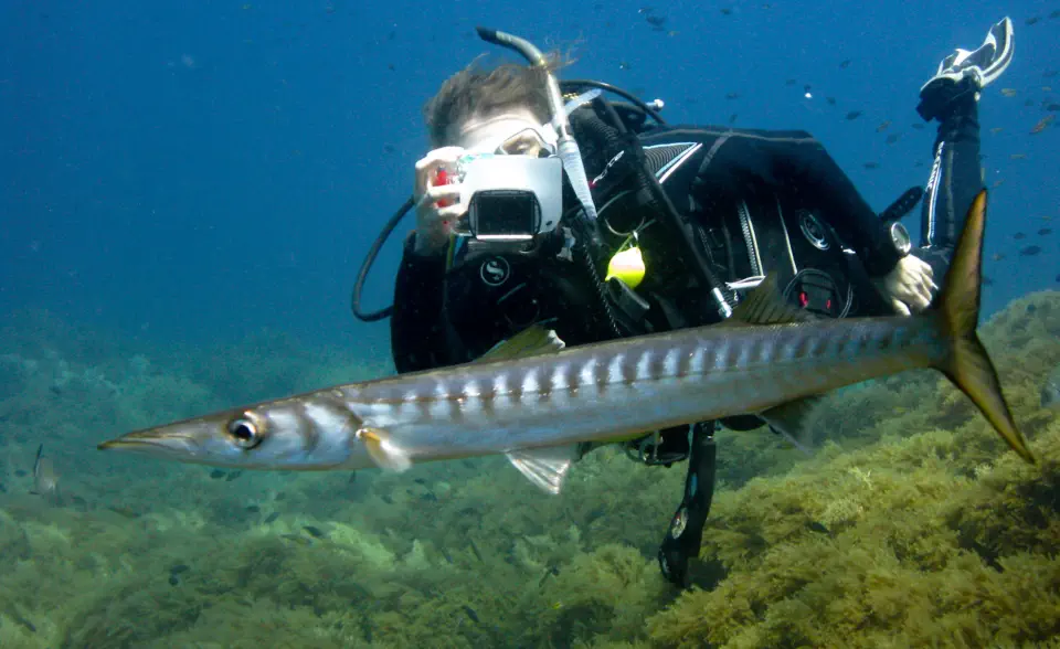 padi advanced course gallery