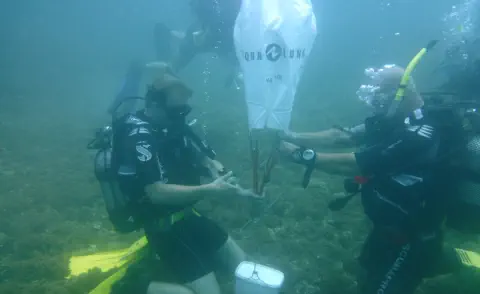 divemaster course gallery