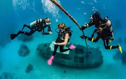 deep specialty course