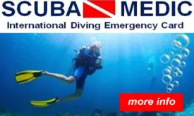 scuba medic dive insurance card