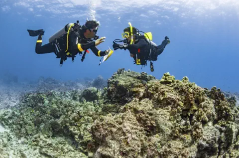 divemaster course scenario